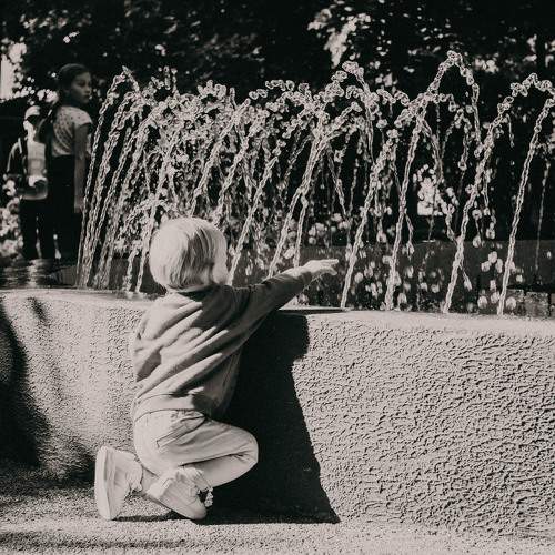Photo #9392492