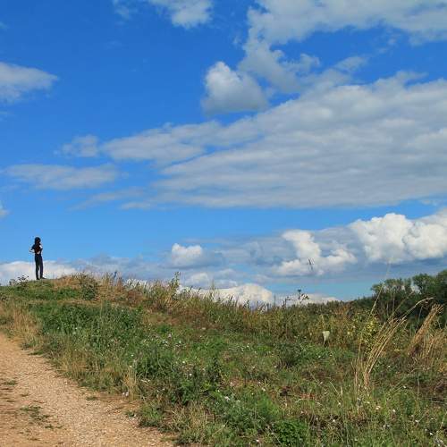 Photo #9392527