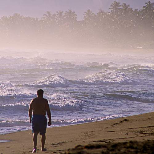 Photo #9392683