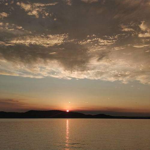 Photo #9392779