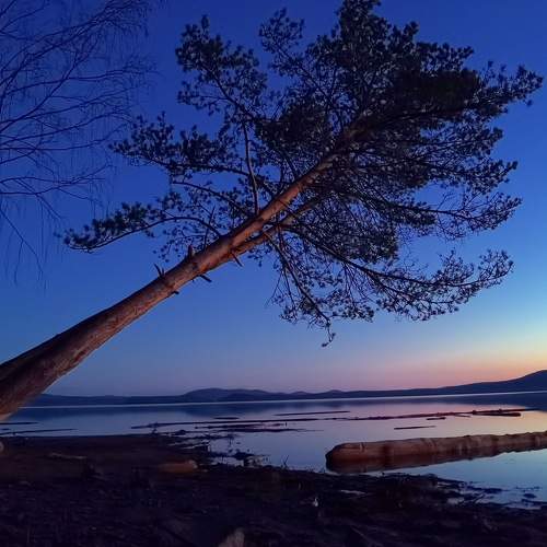 Photo #9392780