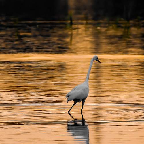 sunset beauty