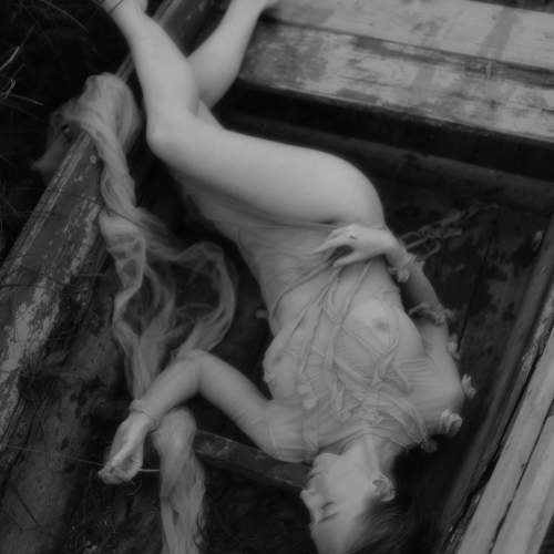 Фотография #9394311