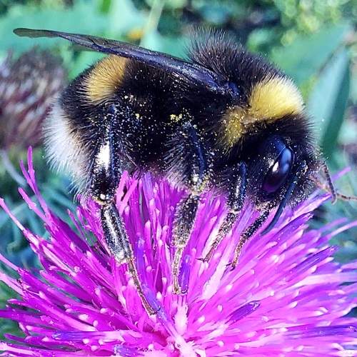 Photo #9394369