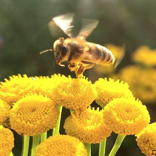 Photo #9394633
