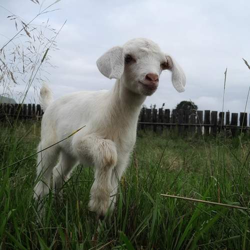 Photo #9394903