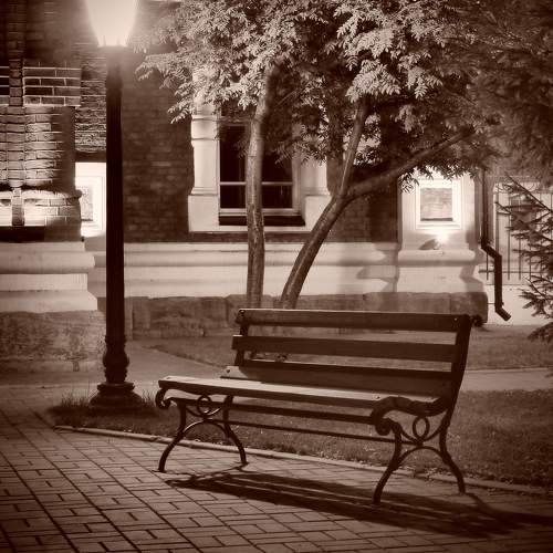 Photo #9395151