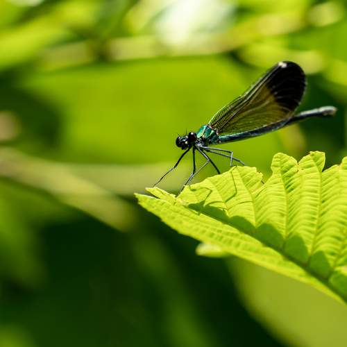 Photo #9395418
