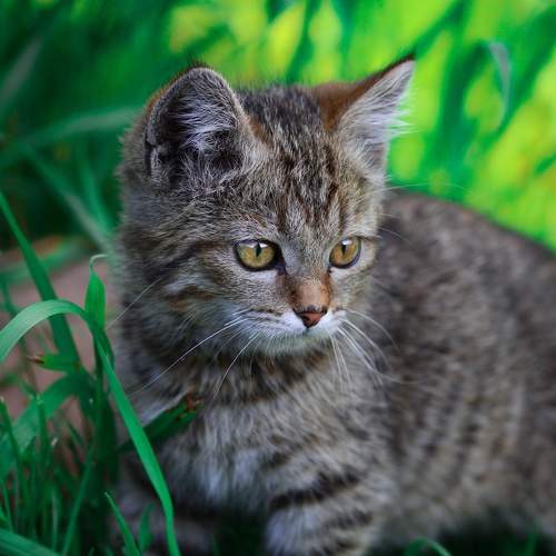Photo #9395969