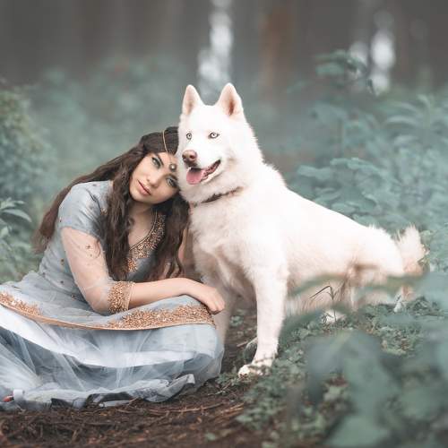 FRANJA EN EL BOSQUE