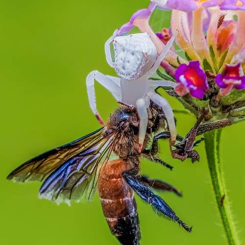 Photo #9396744