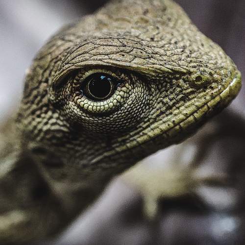 Photo #9396960
