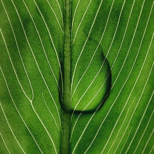 Photo #9396999