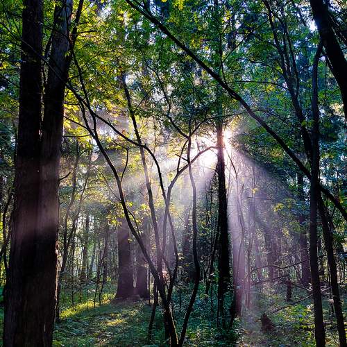 Photo #9397548