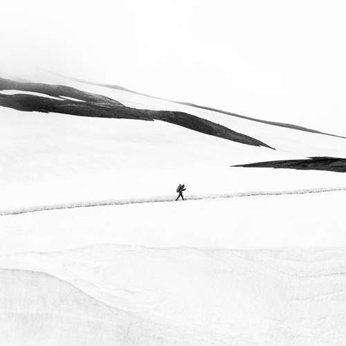 Photo #9397602