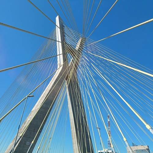 Photo #9398759