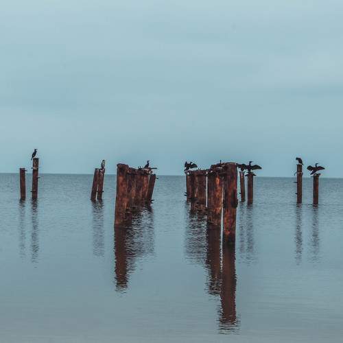 Photo #9400412