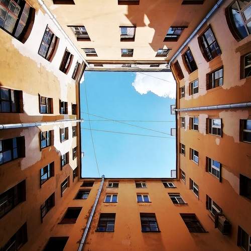 Photo #9401540