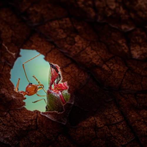 Photo #9401828