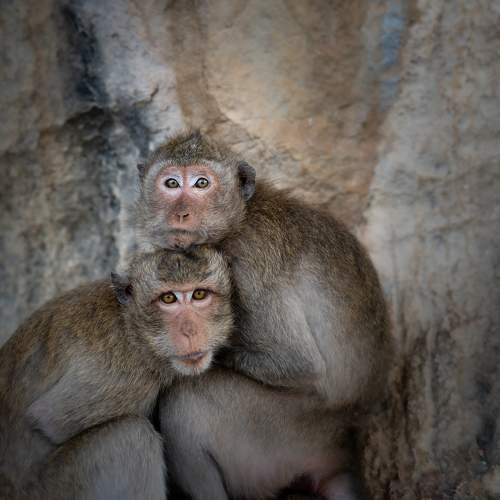 Photo #9401923