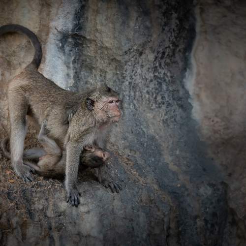 Photo #9401935