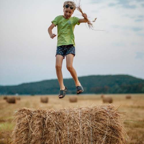 Photo #9402387