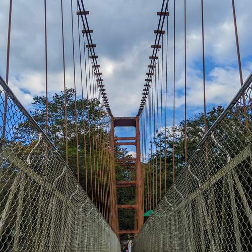 Photo #9402501