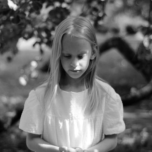 Photo #9402681