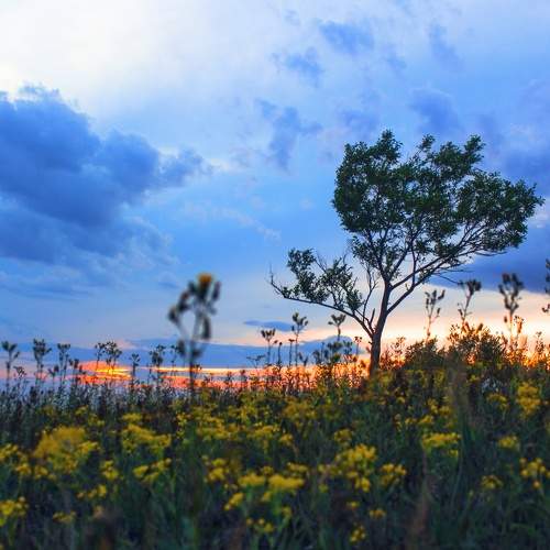 Photo #9402782