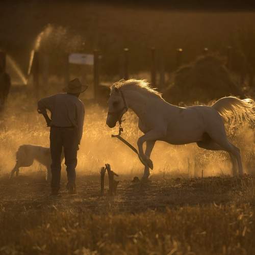 Photo #9403130