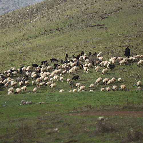 Photo #9403147