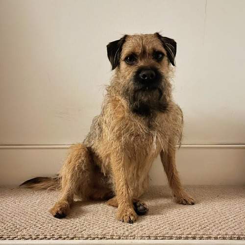 Photo #9403330