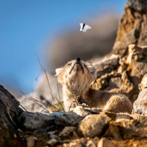 Photo #9403340