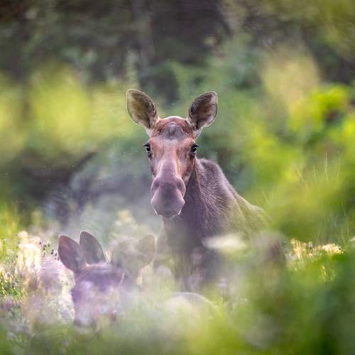 Photo #9403352