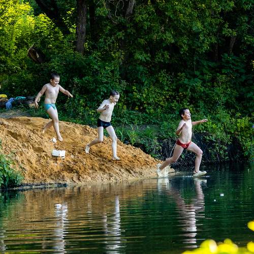 Photo #9403412