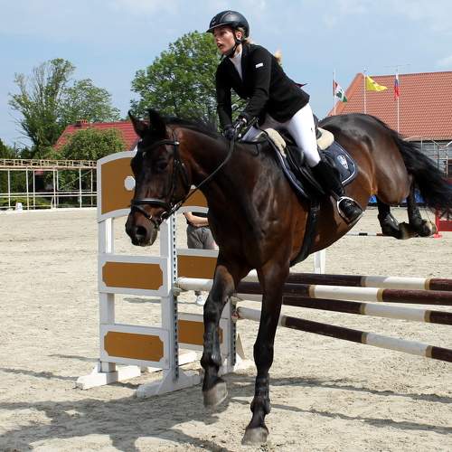 Photo #9403903