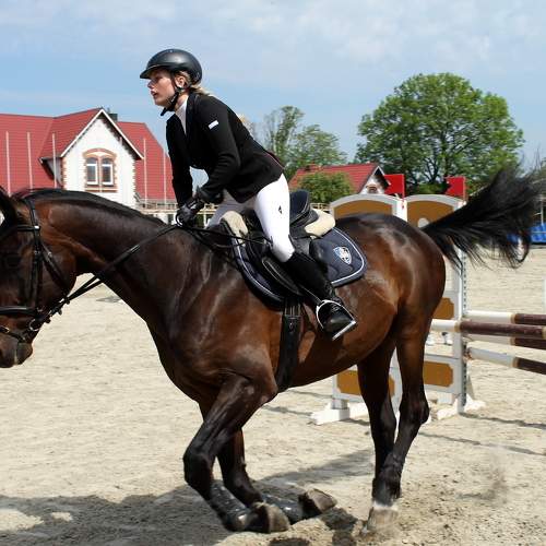 Photo #9403905