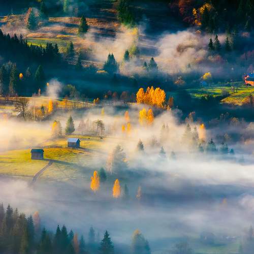 Photo #9404883