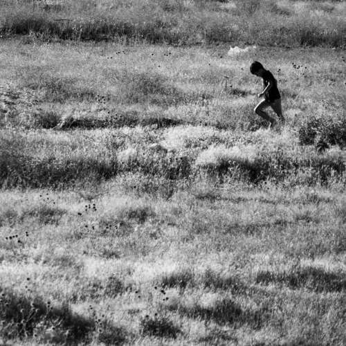 Photo #9404938