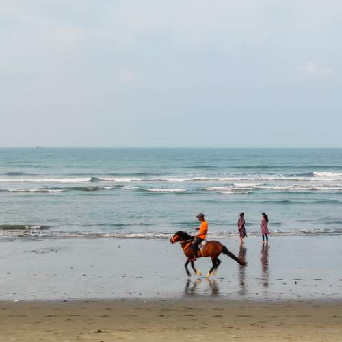 Photo #9405002
