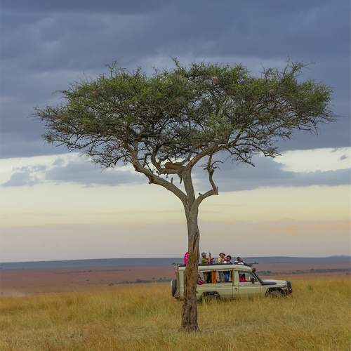 Tourist and the wildlife in beautiful landscape