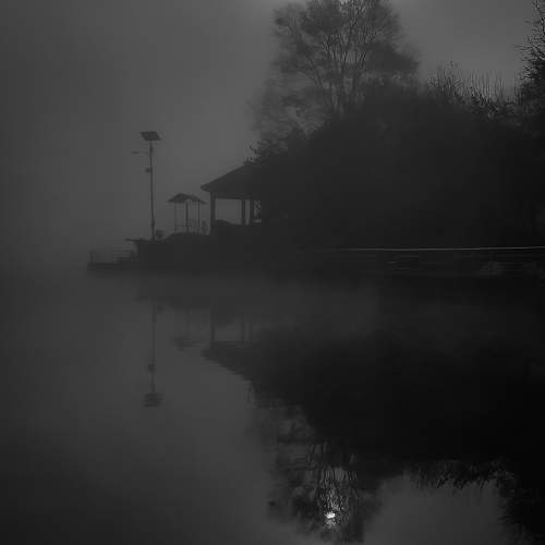 Photo #9405695