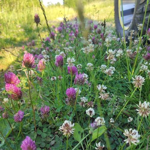 Photo #9405862