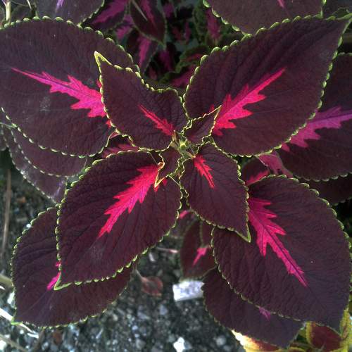 Photo #9405923