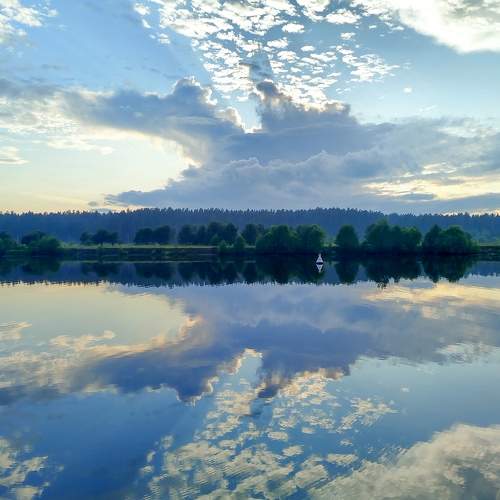 Photo #9405997