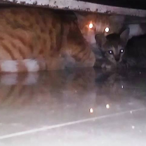 Photo #9406415