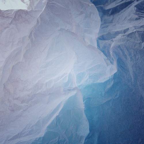 Photo #9407299
