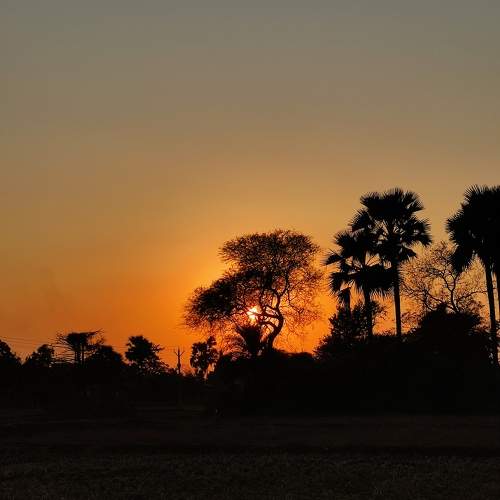 Photo #9407776