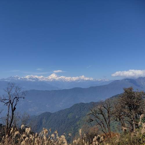 Photo #9407803