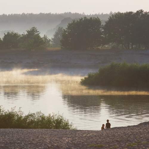 Photo #9407816